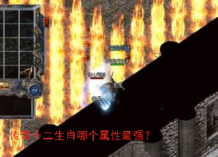 传奇十二生肖哪个属性最强? 传奇十二生肖哪个属性最强?