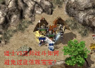 道士VS法师战斗如何避免过度依赖宝宝? 道士VS法师战斗如何避免过度依赖宝宝?