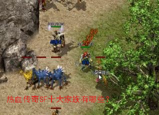 热血传奇SF十大家族有哪些? 热血传奇SF十大家族有哪些?