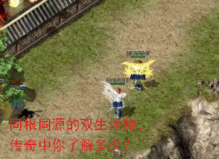 同根同源的双生怪物,传奇中你了解多少? 同根同源的双生怪物,传奇中你了解多少?