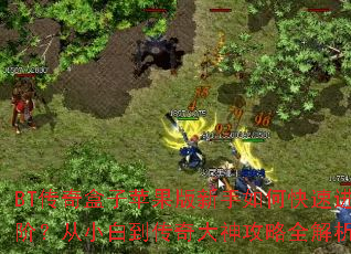 BT传奇盒子苹果版新手如何快速进阶?从小白到传奇大神攻略全解析 BT传奇盒子苹果版新手如何快速进阶?从小白到传奇大神攻略全解析