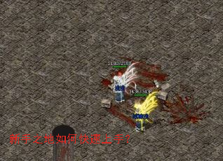 新手之地如何快速上手? 新手之地如何快速上手?