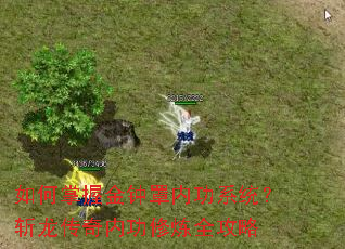 如何掌握金钟罩内功系统?斩龙传奇内功修炼全攻略 如何掌握金钟罩内功系统?斩龙传奇内功修炼全攻略