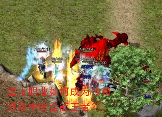 ��ʿְҵ��γ�Ϊ������Ϸ�е�ȫ�����ߣ�