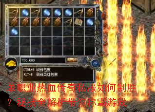 ��ְҵ��Ѫ����˽�������ʤ���ؼ�ȫ��������ư���Ϸ