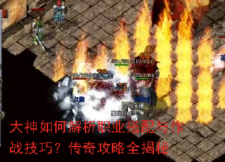 ������ν���ְҵ��������ս���ɣ����湥��ȫ����