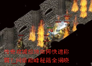���湥���ӵ���ο��ٳưԣ��ʶ��۷��ؼ�ȫ����