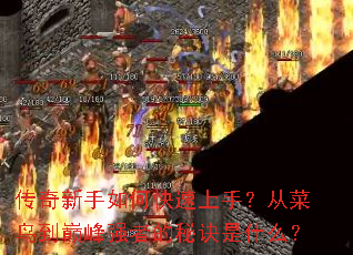 ����������ο������֣��Ӳ����۷�ǿ�ߵ��ؾ���ʲô��