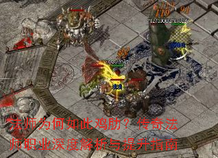 ��ʦΪ����˼��ߣ����淨ʦְҵ��Ƚ���������ָ��