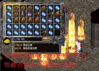 ���ڷ�չ��ι滮���׶�������ܷ��Ϊ���������ؼ���