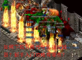 ����������ܴ���˽����½�����������Ź�������Щ��
