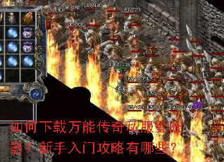 ����������ܴ���˽����½�����������Ź�������Щ��