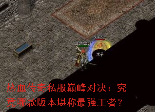 ��Ѫ����˽���۷�Ծ��������Ŀ�汾������ǿ���ߣ�