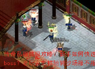 ����˽���ռ����ԣ�������ο��ٿ�����ɱboss������������۳�ɳ����������