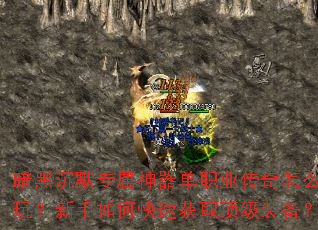 ���ڳ�Ĭר��������ְҵ������ô�棿������ο��ٻ�ȡ����װ����