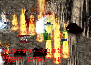 ��Ѫ���������߰׺���λ�ã���ϸ���Խ���