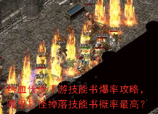 热血传奇手游技能书爆率攻略,哪里打怪掉落技能书概率最高? 热血传奇手游技能书爆率攻略,哪里打怪掉落技能书概率最高?