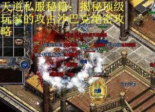 天道私服秘籍：揭秘顶级玩家的攻占沙巴克绝密攻略