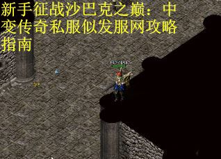 新手征战沙巴克之巅：中变传奇私服似发服网攻略指南