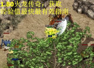 1.80火龙传奇：获取经验值最快最有效指南
