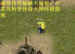 盛世传奇秘籍大揭秘：小菜鸟秒变传奇大神终极指南