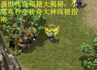 盛世传奇秘籍大揭秘：小菜鸟秒变传奇大神终极指南