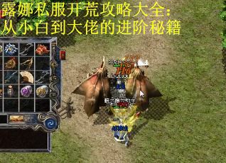 露娜私服开荒攻略大全：从小白到大佬的进阶秘籍