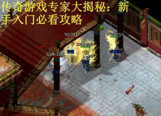 传奇游戏专家大揭秘：新手入门必看攻略