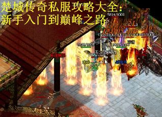 楚城传奇私服攻略大全：新手入门到巅峰之路