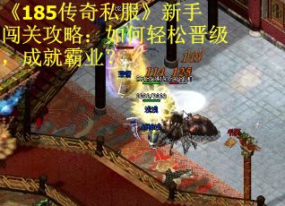 《185传奇私服》新手闯关攻略：如何轻松晋级，成就霸业？