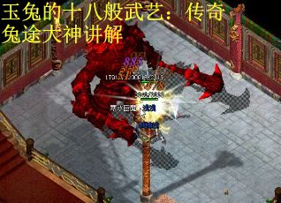 玉兔的十八般武艺：传奇兔途大神讲解