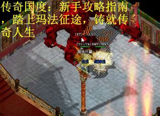传奇国度：新手攻略指南，踏上玛法征途，铸就传奇人生
