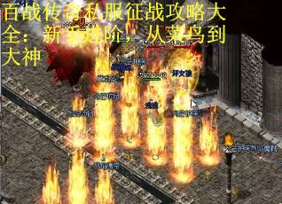 百战传奇私服征战攻略大全：新手进阶，从菜鸟到大神