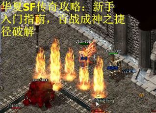 华夏SF传奇攻略：新手入门指南，百战成神之捷径破解