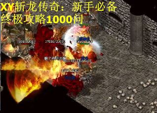 XY斩龙传奇：新手必备终极攻略1000问