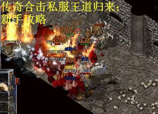传奇合击私服王道归来：新手攻略