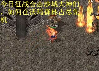 今日征战合击沙城大神们，如何在沃玛森林占尽先机