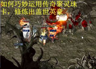如何巧妙运用传奇聚灵珠卡，修炼出盖世英豪