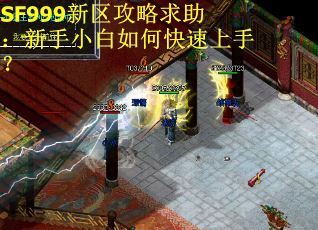 SF999新区攻略求助：新手小白如何快速上手？