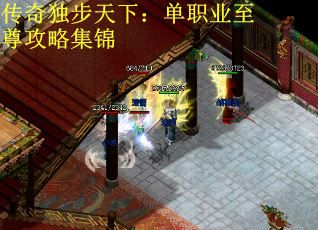 传奇独步天下：单职业至尊攻略集锦