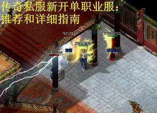 传奇私服新开单职业服：推荐和详细指南