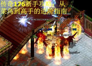 传奇176新手攻略：从菜鸟到高手的进阶指南