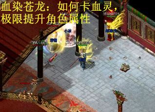 血染苍龙：如何卡血灵，极限提升角色属性