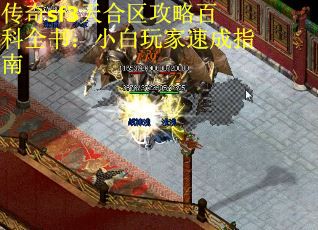 传奇sf3天合区攻略百科全书：小白玩家速成指南