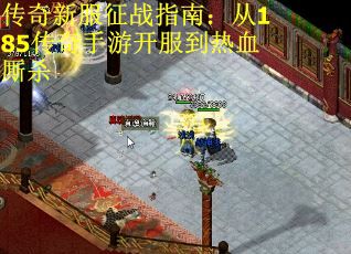 传奇新服征战指南：从185传奇手游开服到热血厮杀