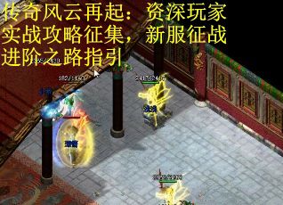 传奇风云再起：资深玩家实战攻略征集，新服征战进阶之路指引