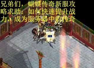 兄弟们，蝴蝶传奇新服攻略求助：如何快速提升战力，成为服务器中的传奇
