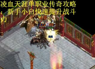 凌血天涯单职业传奇攻略：新手小白快速提升战斗力