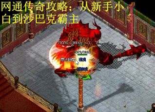 网通传奇攻略：从新手小白到沙巴克霸主