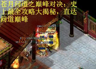 苍月问道之巅峰对决：史上最全攻略大揭秘，直达问道巅峰